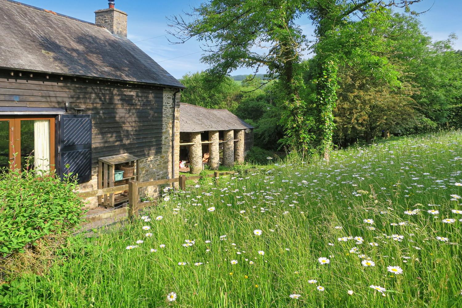 Wildflower meadow at West Huckham Barn