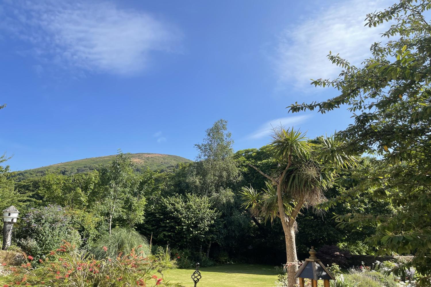 View looking out from front garden