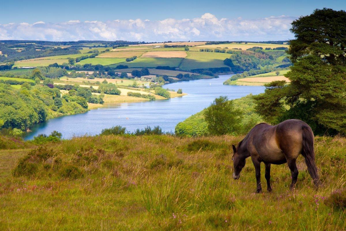 Wimbleball Lake less than a mile away